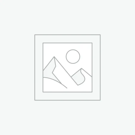 Abstract & Art Vibes